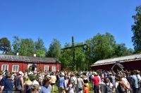 Midsommar - Mittsommerfest im Freilichtmuseum Umeå