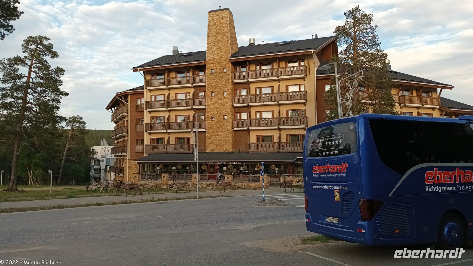 Eine Herde Rentiere in der Nähe unseres Hotels in Saariselkä