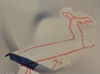 Boote mit Elchköpfen - Vorläufer für die Drachenköpfe an Wikingerschiffen?