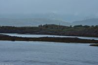 Bildmitte erste Insel: Zwei Seeadler 