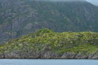 Trollfjord - Wo sitzen die Seeadler?