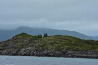 Raftsund - Wo sitzen die Seeadler?