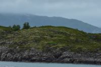 Raftsund - Wo sitzen die drei Seeadler?