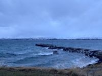 Tag 1 - Tromsø bei Wind und Wetter 