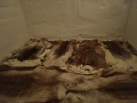 Alta - Sorrisniva Eishotel