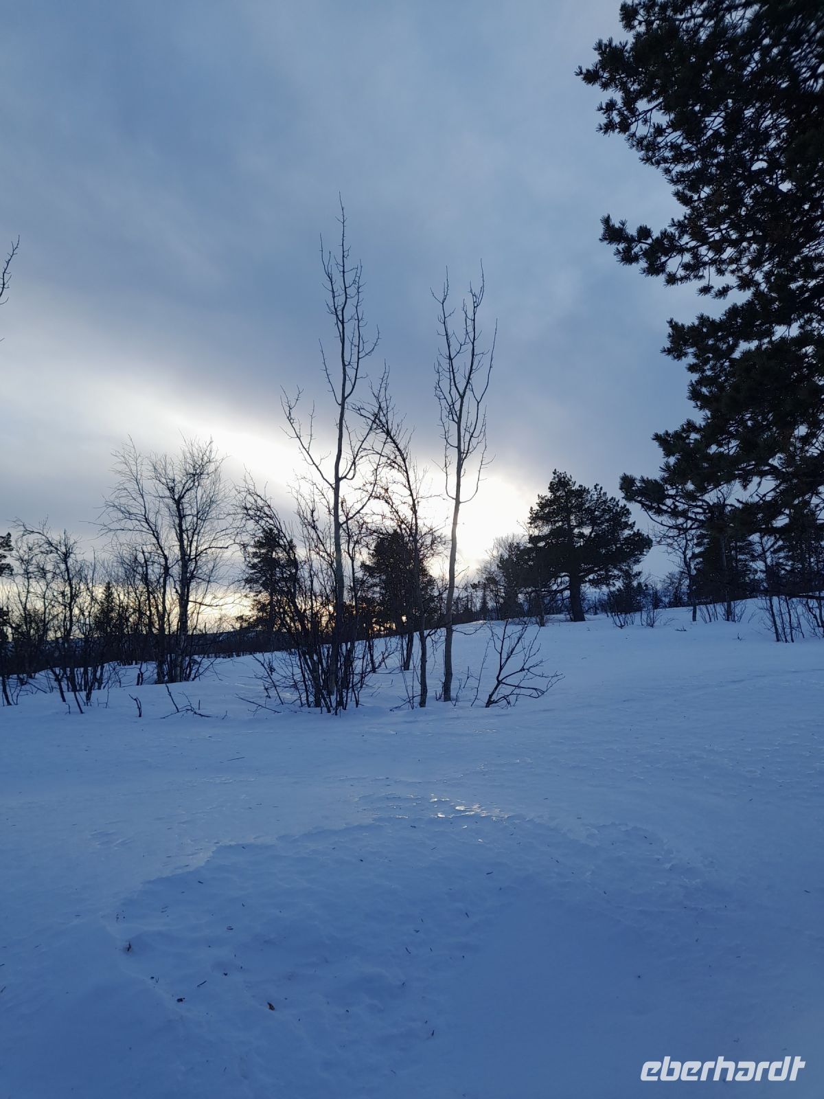 Schneeschuhwanderung