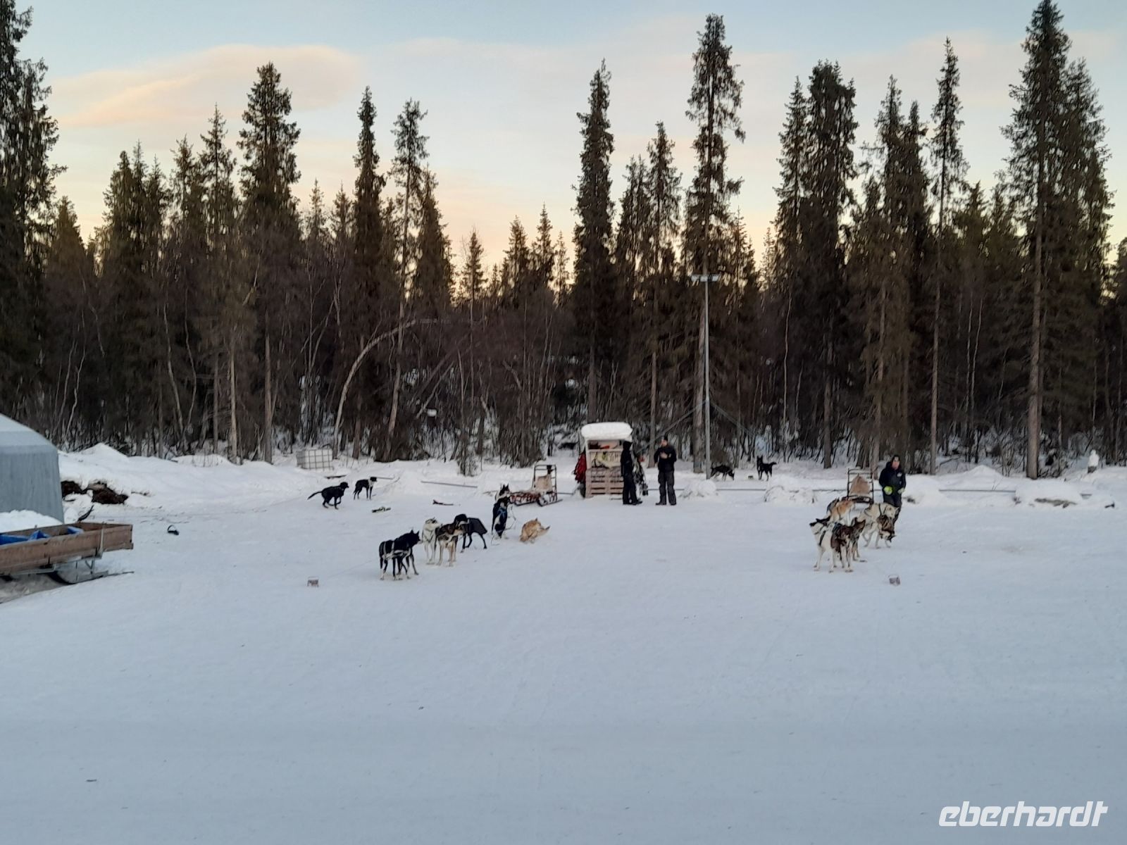 Husky-Schlittenfahrt