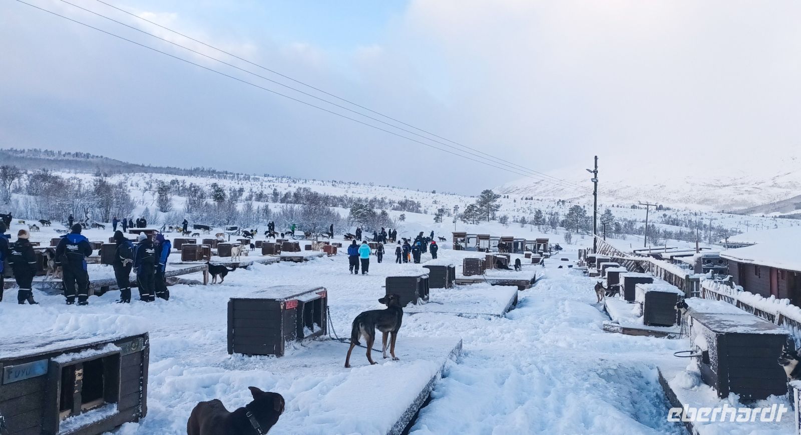 Heim der Schlittenhunde