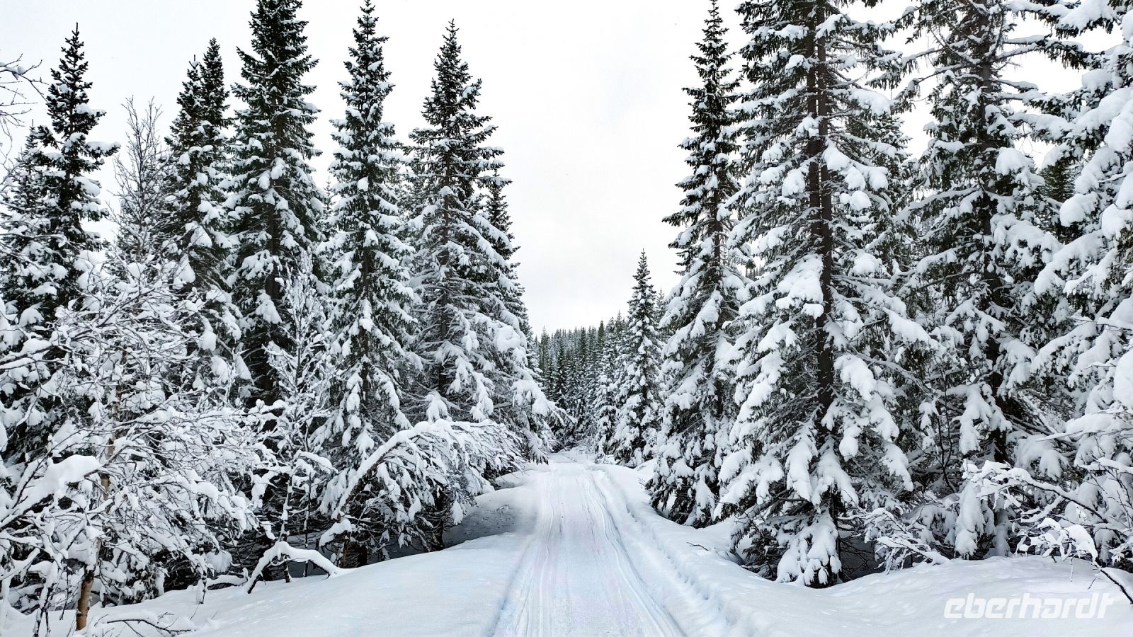 Schneemobilfahrt in den Lyngen-Alpen