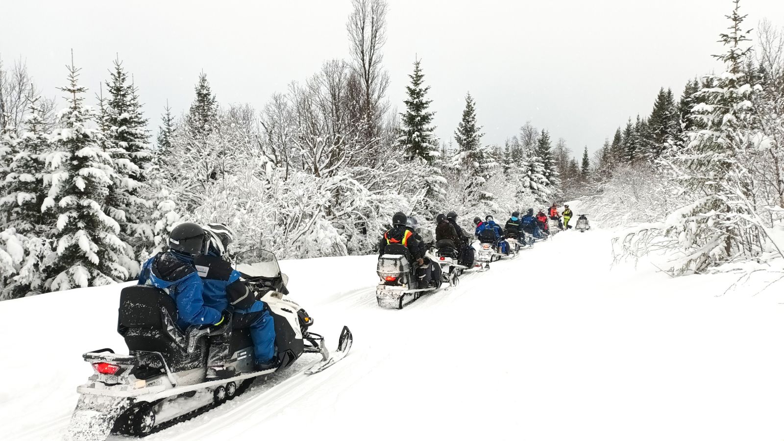 Schneemobilfahrt in den Lyngen-Alpen