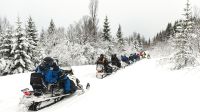 Schneemobilfahrt in den Lyngen-Alpen