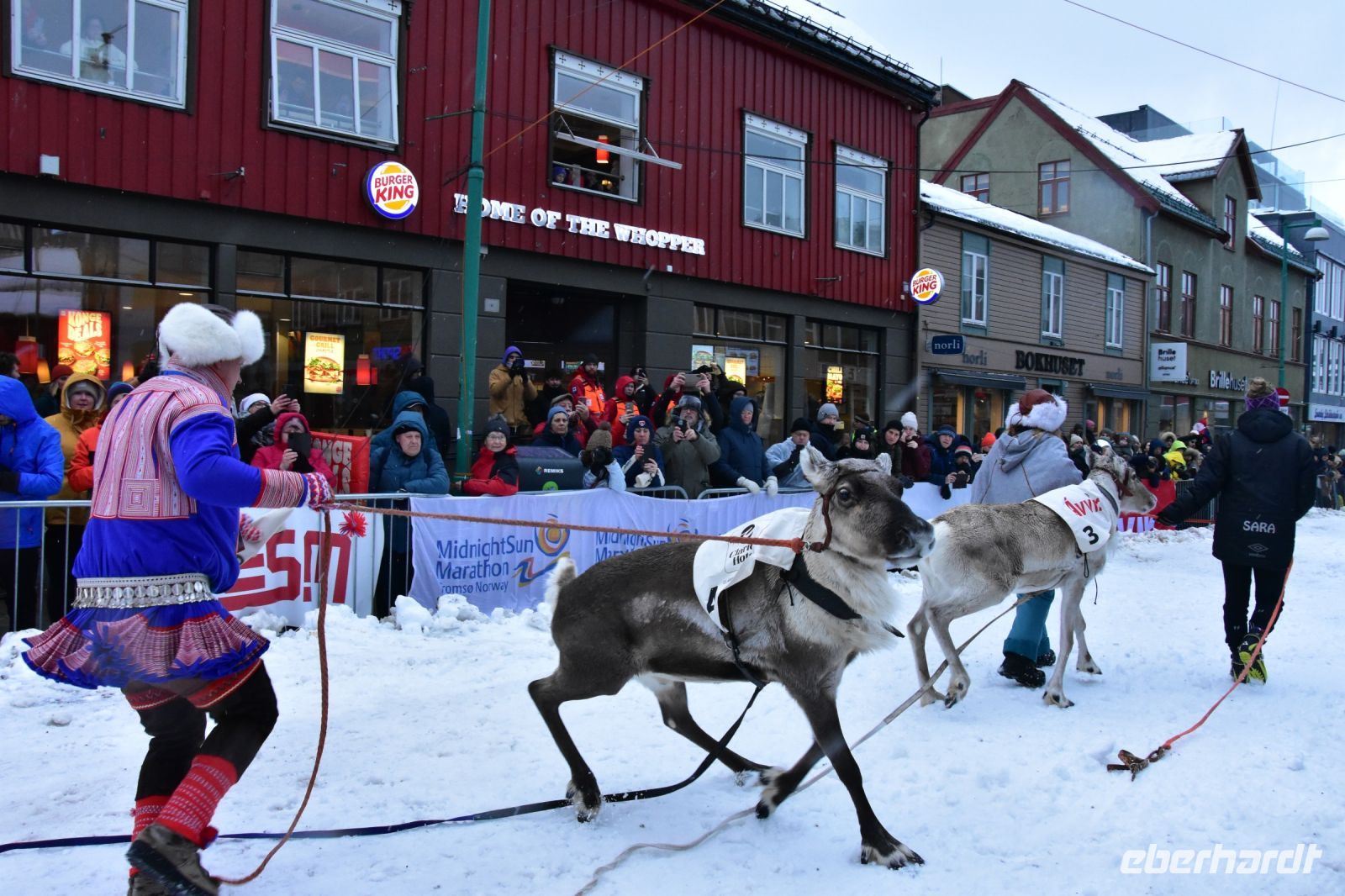 Präsentation der Renn-Rentiere