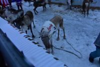 Die Boxengasse neudeutsch 