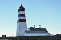 Ålesund - Fakultativer Hurtigruten-Ausflug zum Alnes fyr (Alnes Leuchtturm) 