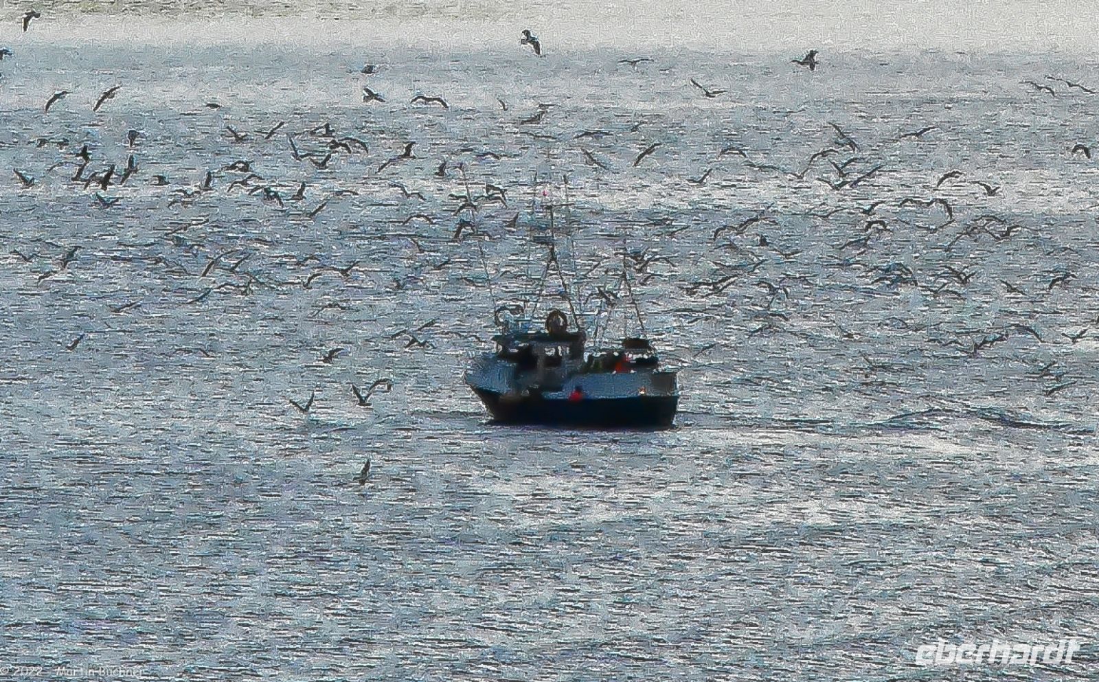 Hurtigruten - MS Trollfjord 068Hurtigruten - M/S Trollfjord - unterwegs entlang der Märchenküste Helgeland in der Provinz Nordland - ein Fischerboot