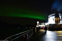 Hurtigruten - M/S Trollfjord - Polarlicht im Raftsund (Lofoten)