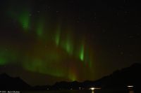 Hurtigruten - M/S Trollfjord - Polarlicht im Raftsund (Lofoten)