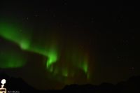Hurtigruten - M/S Trollfjord - Polarlicht im Raftsund (Lofoten)