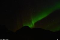Hurtigruten - M/S Trollfjord - Polarlicht im Raftsund (Lofoten)