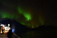 Hurtigruten - M/S Trollfjord - Polarlicht im Raftsund (Lofoten)