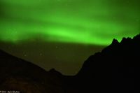 Hurtigruten - M/S Trollfjord - Polarlicht im Raftsund (Lofoten)