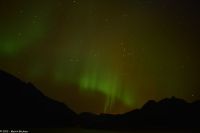 Hurtigruten - M/S Trollfjord - Polarlicht im Raftsund (Lofoten)