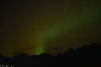 Hurtigruten - M/S Trollfjord - Polarlicht im Raftsund (Lofoten)