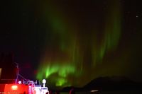 Hurtigruten - M/S Trollfjord auf dem Weg von Tromsø nach Skjervøy - Polarlicht - Nordlicht - Aurora Borealis