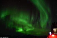 Hurtigruten - M/S Trollfjord auf dem Weg von Tromsø nach Skjervøy - Polarlicht - Nordlicht - Aurora Borealis