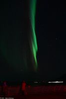 Hurtigruten - M/S Trollfjord auf dem Weg von Tromsø nach Skjervøy - Polarlicht - Nordlicht - Aurora Borealis