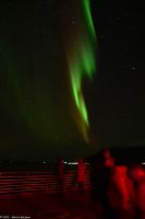 Hurtigruten - M/S Trollfjord auf dem Weg von Tromsø nach Skjervøy - Polarlicht - Nordlicht - Aurora Borealis