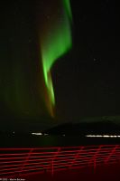 Hurtigruten - M/S Trollfjord auf dem Weg von Tromsø nach Skjervøy - Polarlicht - Nordlicht - Aurora Borealis