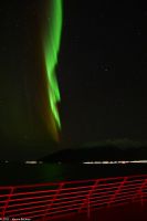 Hurtigruten - M/S Trollfjord auf dem Weg von Tromsø nach Skjervøy - Polarlicht - Nordlicht - Aurora Borealis