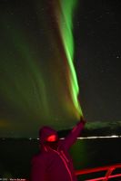 Hurtigruten - M/S Trollfjord auf dem Weg von Tromsø nach Skjervøy - Polarlicht - Nordlicht - Aurora Borealis