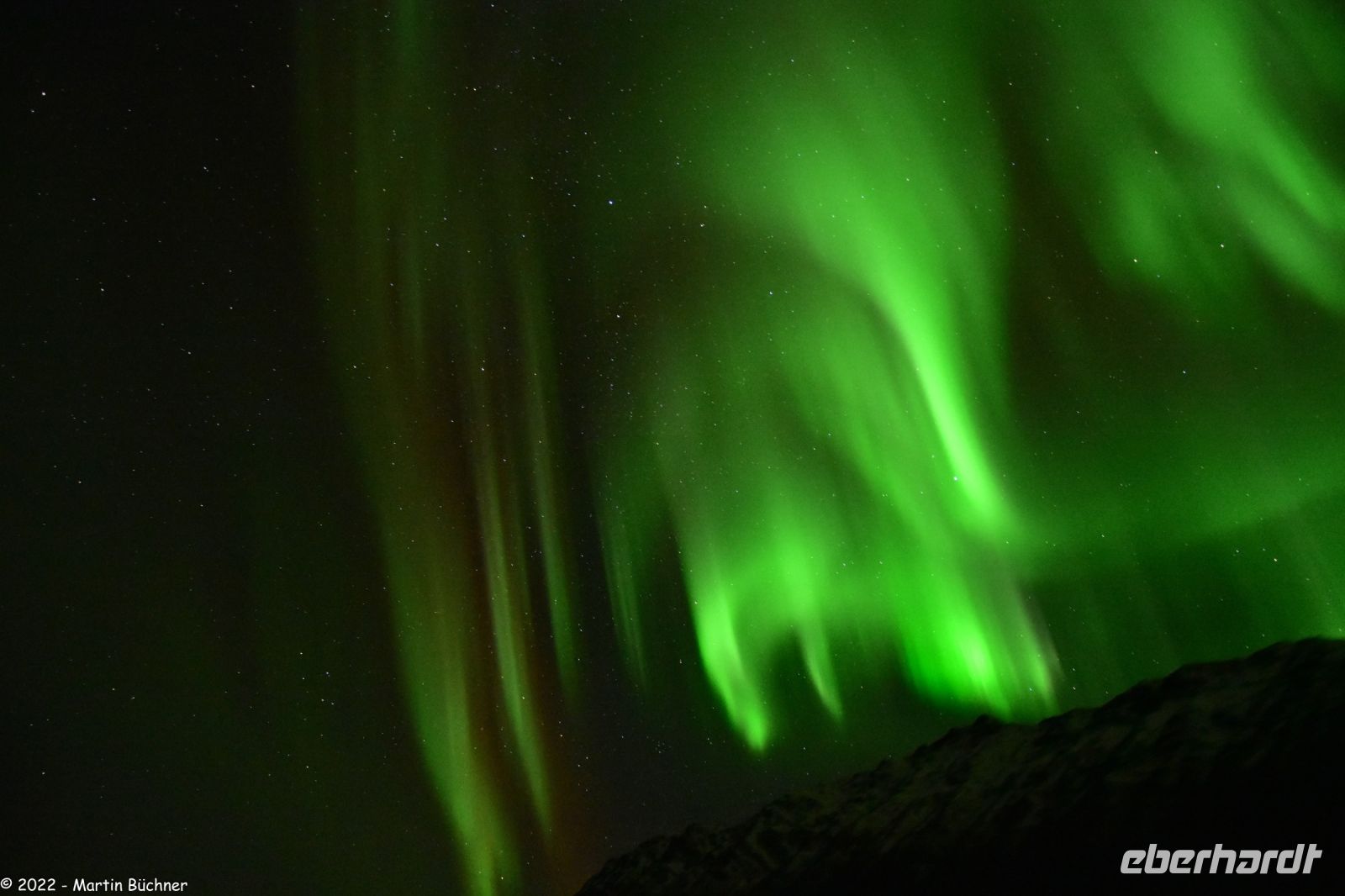 Hurtigruten - M/S Trollfjord auf dem Weg von Tromsø nach Skjervøy - Polarlicht - Nordlicht - Aurora Borealis