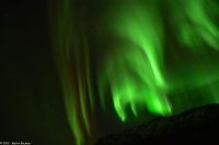 Hurtigruten - M/S Trollfjord auf dem Weg von Tromsø nach Skjervøy - Polarlicht - Nordlicht - Aurora Borealis