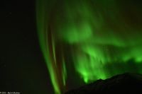 Hurtigruten - M/S Trollfjord auf dem Weg von Tromsø nach Skjervøy - Polarlicht - Nordlicht - Aurora Borealis