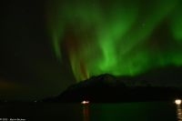 Hurtigruten - M/S Trollfjord auf dem Weg von Tromsø nach Skjervøy - Polarlicht - Nordlicht - Aurora Borealis