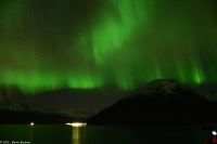 Hurtigruten - M/S Trollfjord auf dem Weg von Tromsø nach Skjervøy - Polarlicht - Nordlicht - Aurora Borealis