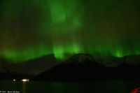 Hurtigruten - M/S Trollfjord auf dem Weg von Tromsø nach Skjervøy - Polarlicht - Nordlicht - Aurora Borealis