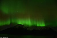 Hurtigruten - M/S Trollfjord auf dem Weg von Tromsø nach Skjervøy - Polarlicht - Nordlicht - Aurora Borealis