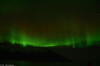 Hurtigruten - M/S Trollfjord auf dem Weg von Tromsø nach Skjervøy - Polarlicht - Nordlicht - Aurora Borealis
