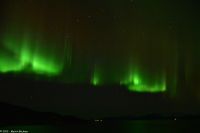 Hurtigruten - M/S Trollfjord auf dem Weg von Tromsø nach Skjervøy - Polarlicht - Nordlicht - Aurora Borealis