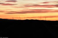 Straße in die Polarnacht