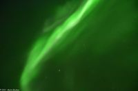 Hurtigruten - M/S Trollfjord - Polarlicht über der Barentssee