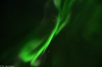 Hurtigruten - M/S Trollfjord - Polarlicht über der Barentssee