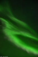 Hurtigruten - M/S Trollfjord - Polarlicht über der Barentssee