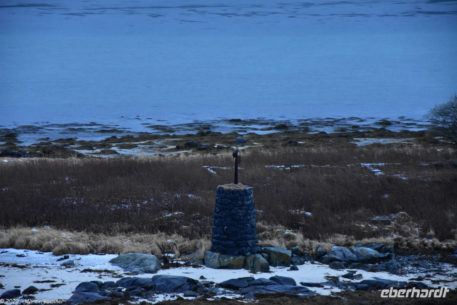 Risøy, Vesterålen - Auf der Varde sitzt ein Seeadler