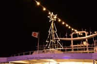 Stokmarknes, Vesterålen - Advent auf der M/S Trollfjord