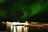 Polarlicht über Svolvær, Lofoten